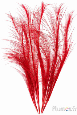 Fazant Hoki - gebleekt - 45-55 cm - rood